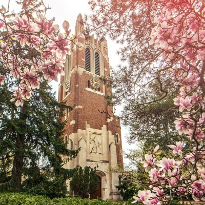 personal statement review image