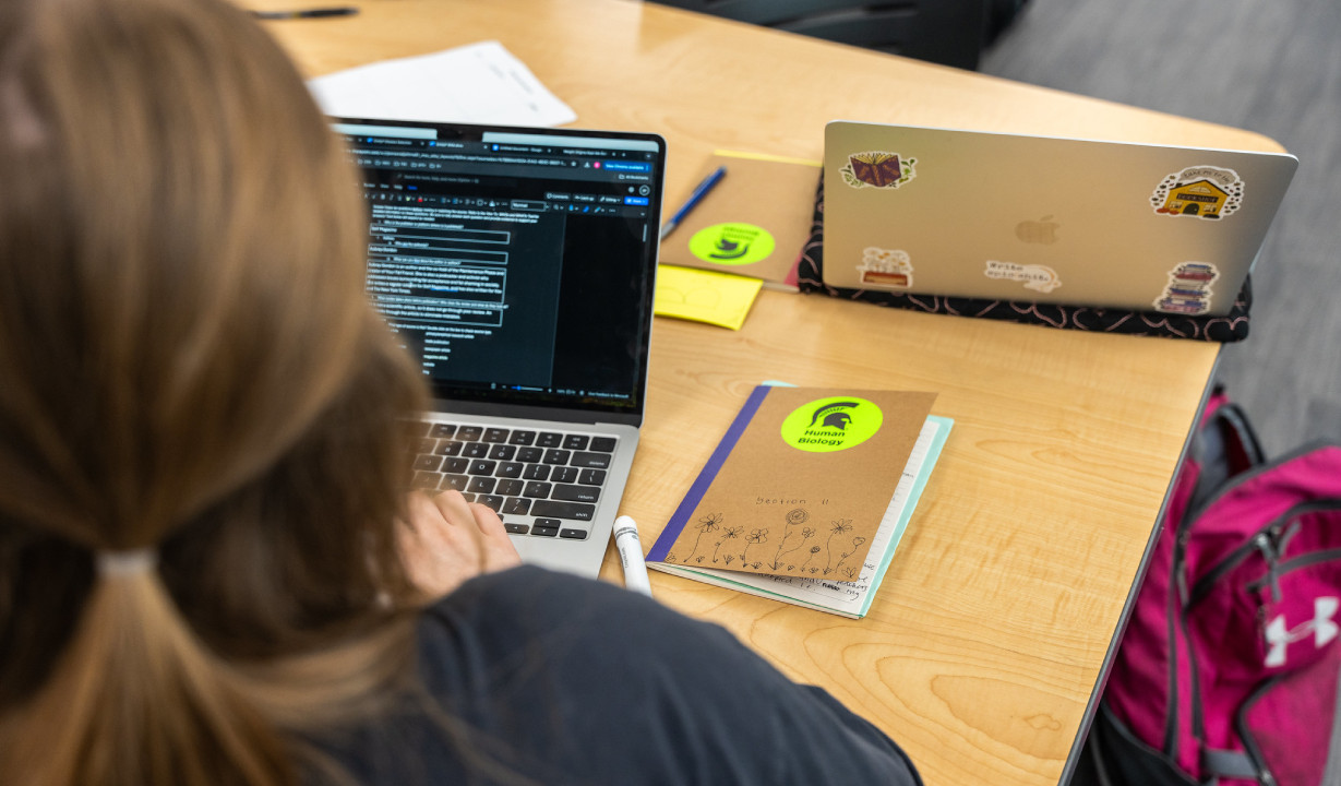 Student typing on a laptop sitting at a desk.